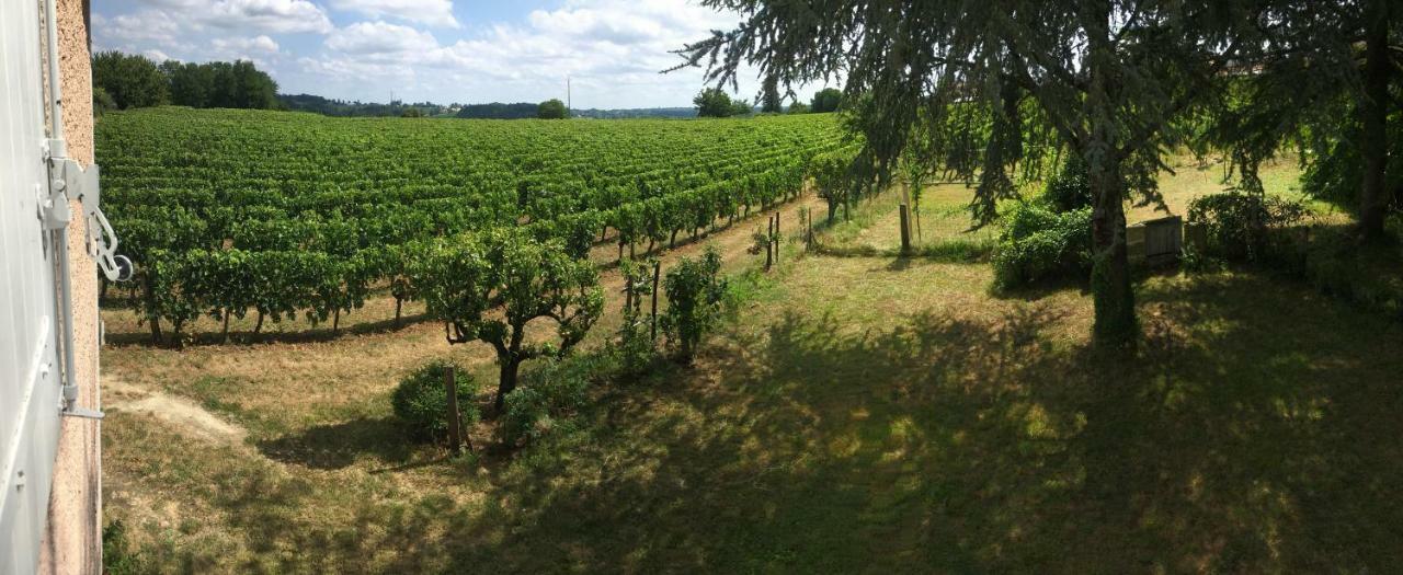 Apartmán Mirande Montagne-Saint Emilion Montagne  Exteriér fotografie