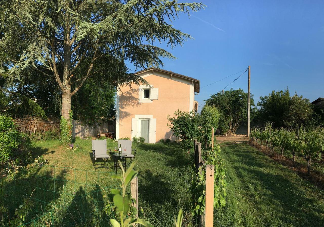 Apartmán Mirande Montagne-Saint Emilion Montagne  Exteriér fotografie